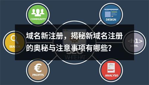 域名新注册,揭秘新域名注册的奥秘与注意事项有哪些?