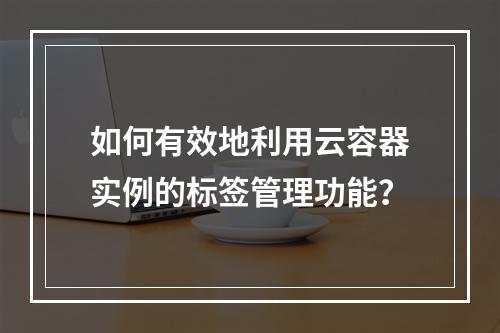 如何有效地利用云容器实例的标签管理功能?