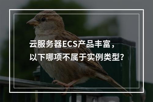 云服务器ECS产品丰富，以下哪项不属于实例类型？