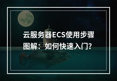 云服务器ECS使用步骤图解：如何快速入门？