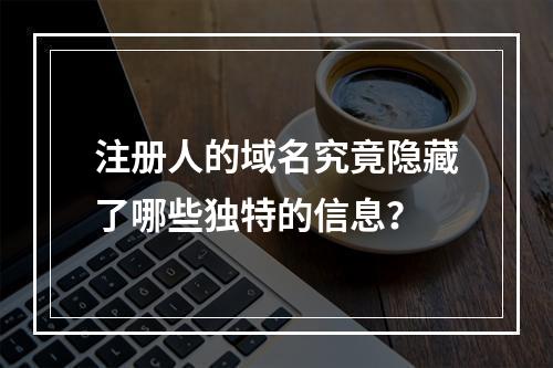 注册人的域名究竟隐藏了哪些独特的信息?