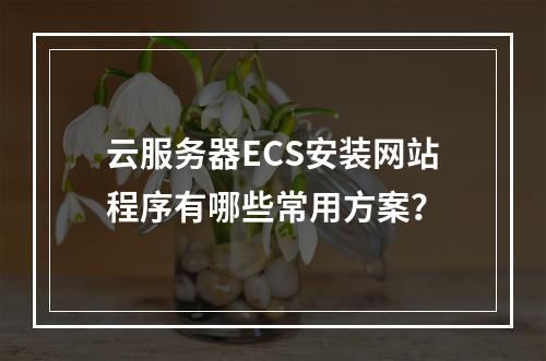 云服务器ECS安装网站程序有哪些常用方案？