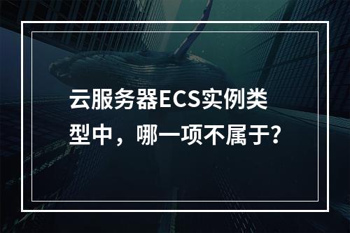 云服务器ECS实例类型中，哪一项不属于？