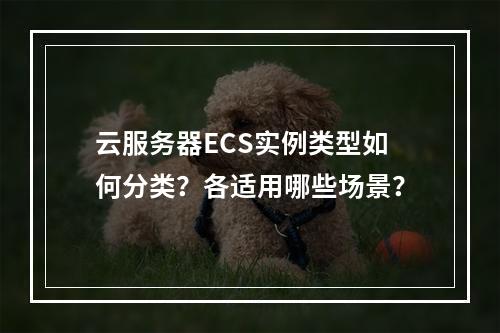 云服务器ECS实例类型如何分类？各适用哪些场景？