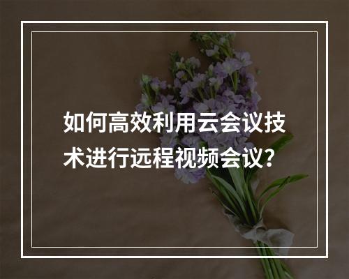 如何高效利用云会议技术进行远程视频会议?