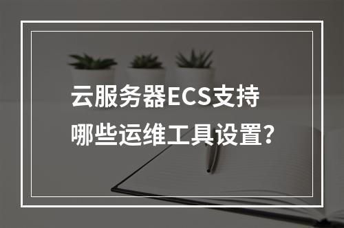 云服务器ECS支持哪些运维工具设置？