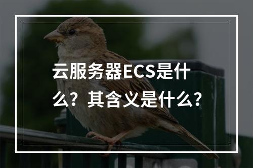 云服务器ECS是什么？其含义是什么？