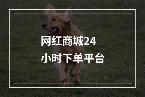 网红商城24小时下单平台