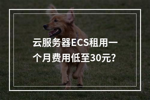 云服务器ECS租用一个月费用低至30元？