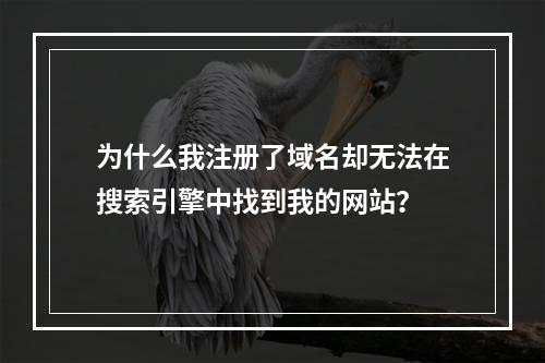 为什么我注册了域名却无法在搜索引擎中找到我的网站?