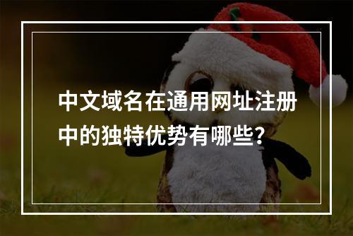 中文域名在通用网址注册中的独特优势有哪些?