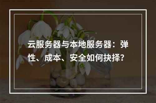 云服务器与本地服务器：弹性、成本、安全如何抉择？