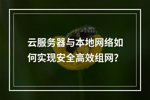云服务器与本地网络如何实现安全高效组网？