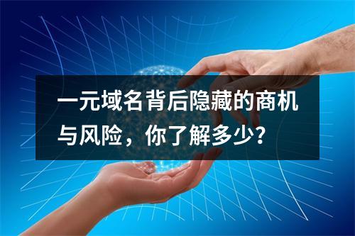 一元域名背后隐藏的商机与风险,你了解多少?