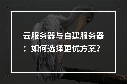 云服务器与自建服务器：如何选择更优方案？