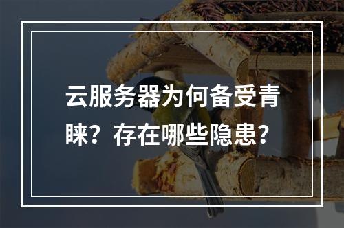 云服务器为何备受青睐？存在哪些隐患？