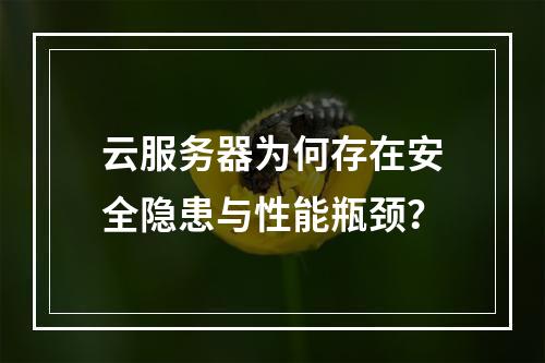 云服务器为何存在安全隐患与性能瓶颈？