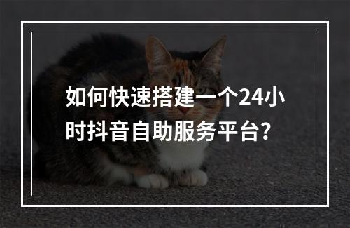 如何快速搭建一个24小时抖音自助服务平台?
