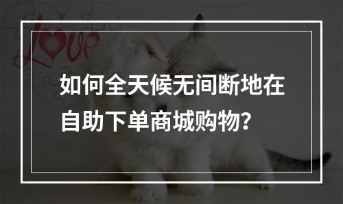 如何全天候无间断地在自助下单商城购物?