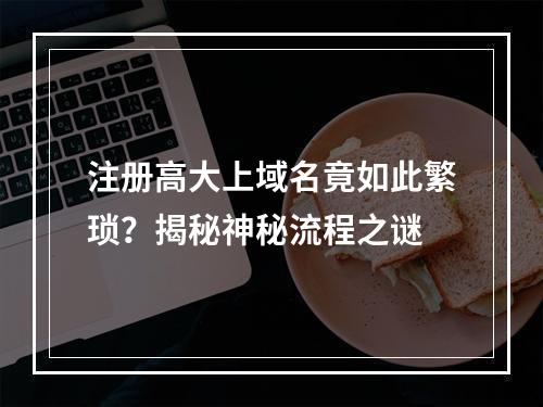 注册高大上域名竟如此繁琐?揭秘神秘流程之谜