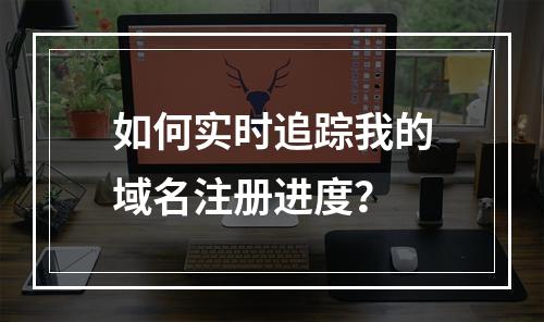 如何实时追踪我的域名注册进度?
