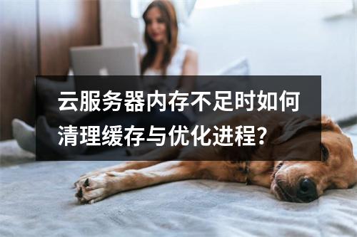云服务器内存不足时如何清理缓存与优化进程？