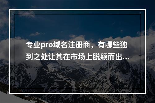 专业pro域名注册商,有哪些独到之处让其在市场上脱颖而出?