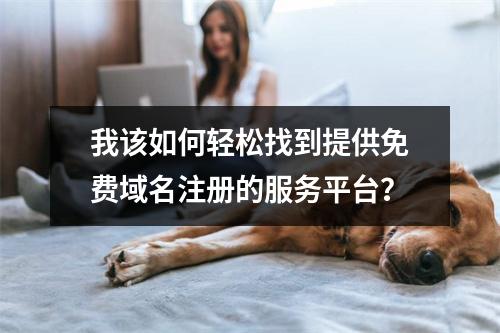 我该如何轻松找到提供免费域名注册的服务平台?