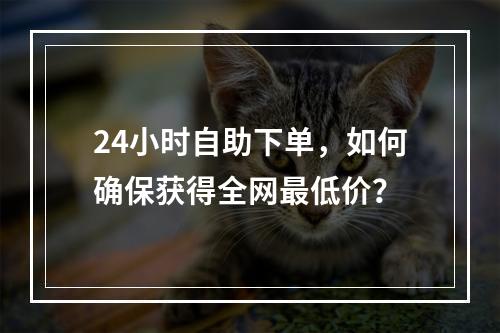 24小时自助下单,如何确保获得全网最低价?