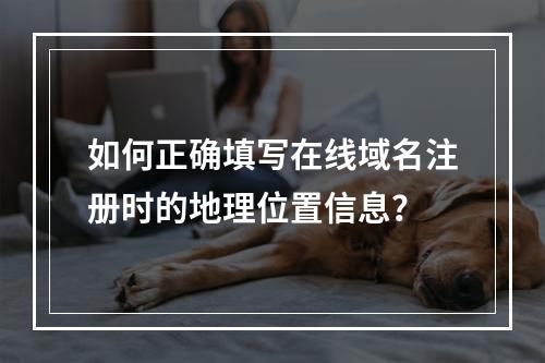 如何正确填写在线域名注册时的地理位置信息?