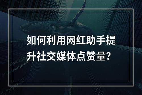 如何利用网红助手提升社交媒体点赞量?