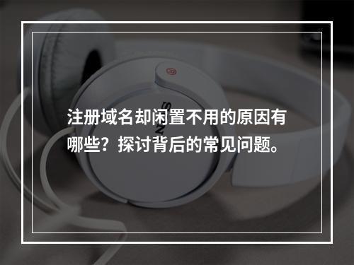 注册域名却闲置不用的原因有哪些?探讨背后的常见问题。