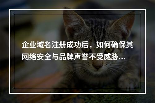 企业域名注册成功后,如何确保其网络安全与品牌声誉不受威胁?