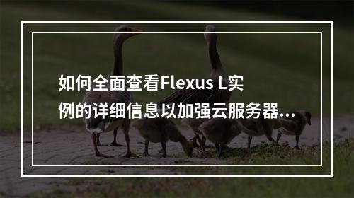 如何全面查看Flexus L实例的详细信息以加强云服务器安全防护?
