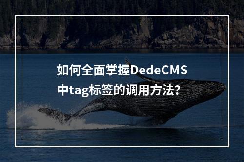 如何全面掌握DedeCMS中tag标签的调用方法?