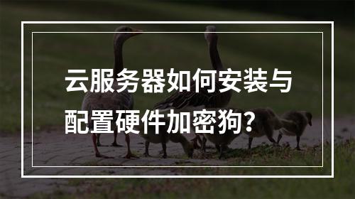 云服务器如何安装与配置硬件加密狗？