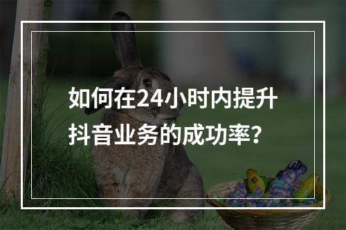 如何在24小时内提升抖音业务的成功率?