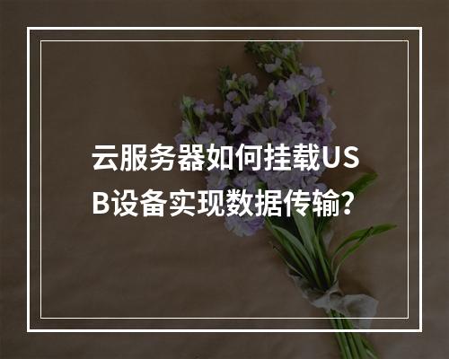 云服务器如何挂载USB设备实现数据传输？