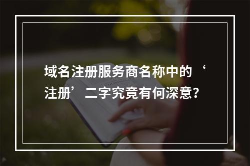 域名注册服务商名称中的‘注册’二字究竟有何深意?