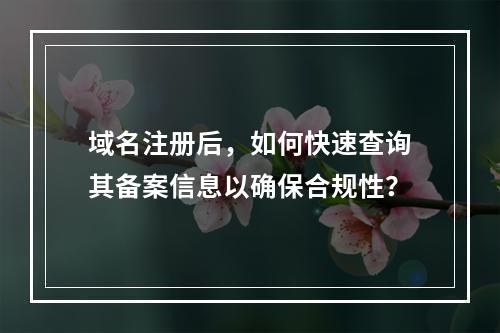 域名注册后,如何快速查询其备案信息以确保合规性?