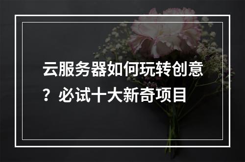 云服务器如何玩转创意？必试十大新奇项目
