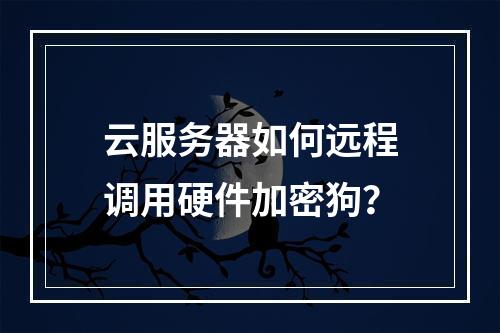 云服务器如何远程调用硬件加密狗？