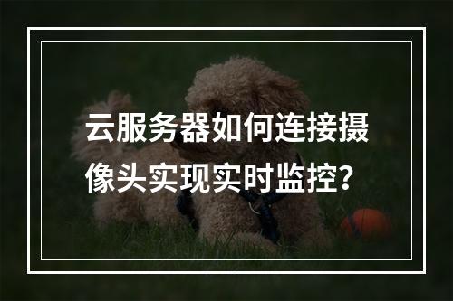 云服务器如何连接摄像头实现实时监控？