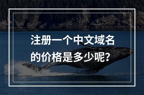 注册一个中文域名的价格是多少呢?