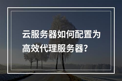 云服务器如何配置为高效代理服务器？