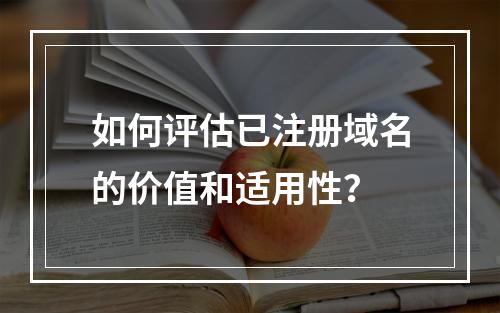 如何评估已注册域名的价值和适用性?