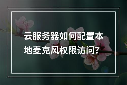 云服务器如何配置本地麦克风权限访问？