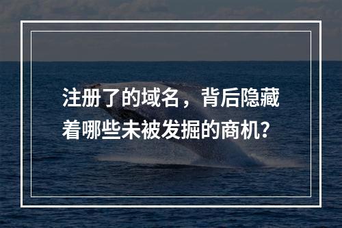 注册了的域名,背后隐藏着哪些未被发掘的商机?