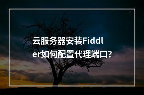 云服务器安装Fiddler如何配置代理端口？
