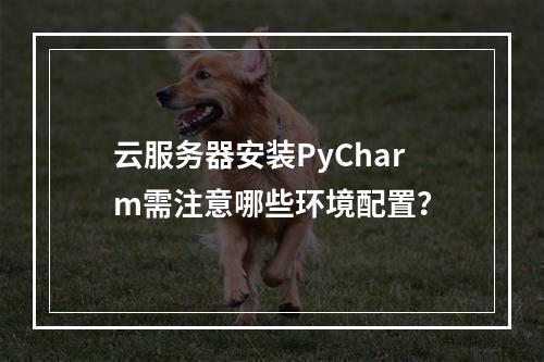 云服务器安装PyCharm需注意哪些环境配置？